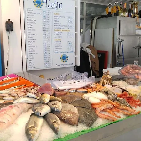 Myvilanovamarina Vilanova i la Geltru