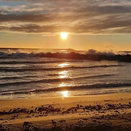 Myvilanovamarina *